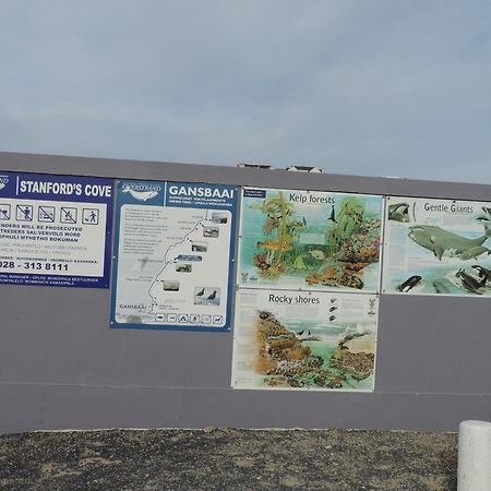 Bed and Breakfast Wave Dancer Gansbaai Exterior foto