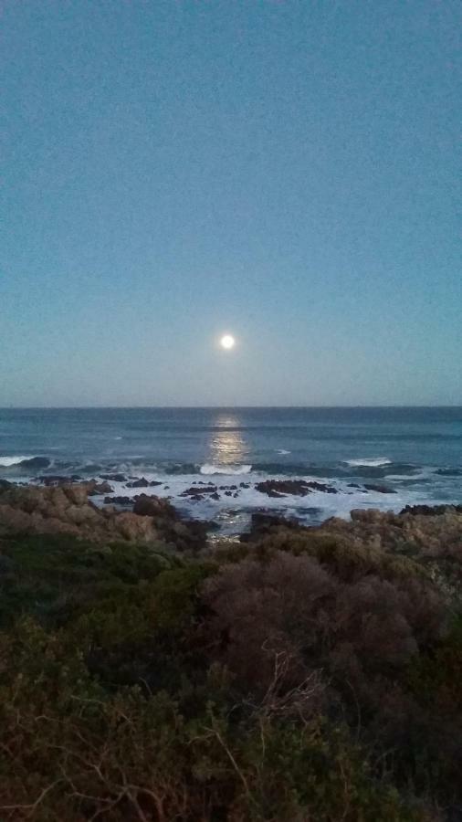 Bed and Breakfast Wave Dancer Gansbaai Exterior foto