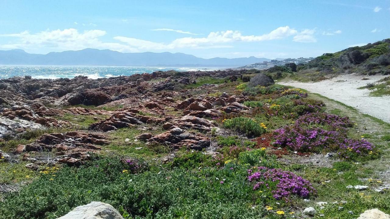 Bed and Breakfast Wave Dancer Gansbaai Exterior foto