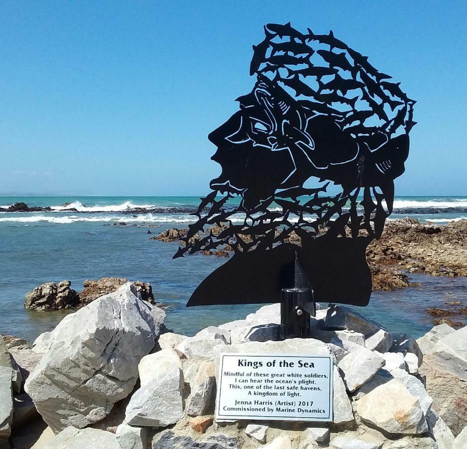 Bed and Breakfast Wave Dancer Gansbaai Exterior foto